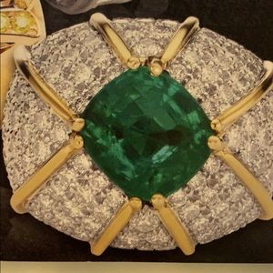 Meet your Posher, Janet